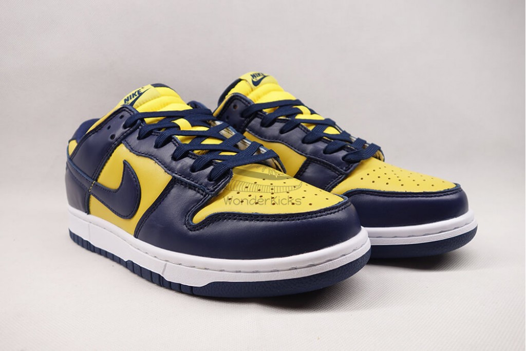 dunk low michigan (2021)